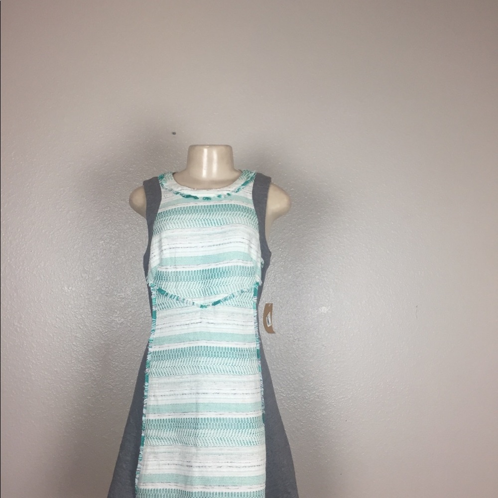 NWT Racheal Roy Women’s  Sleeveless Dres Size 8